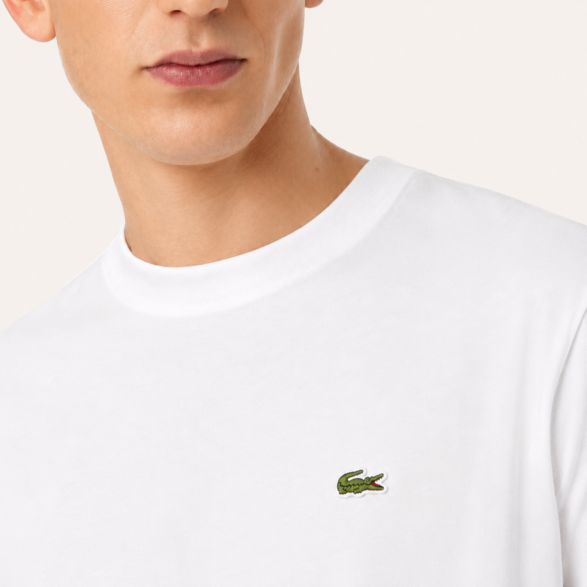 2-Pack Men's Cotton T-Shirt