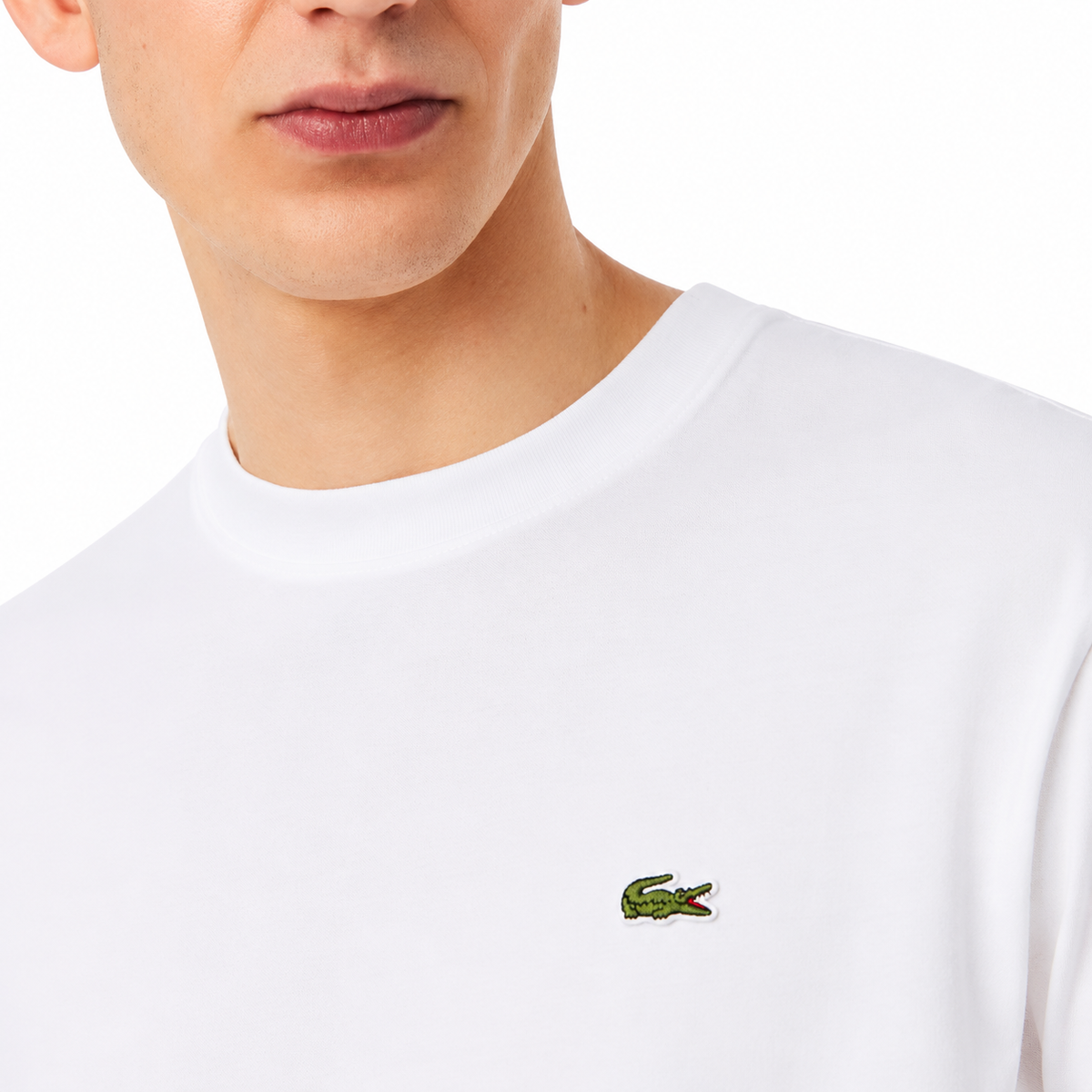 Men's Cotton T-Shirt