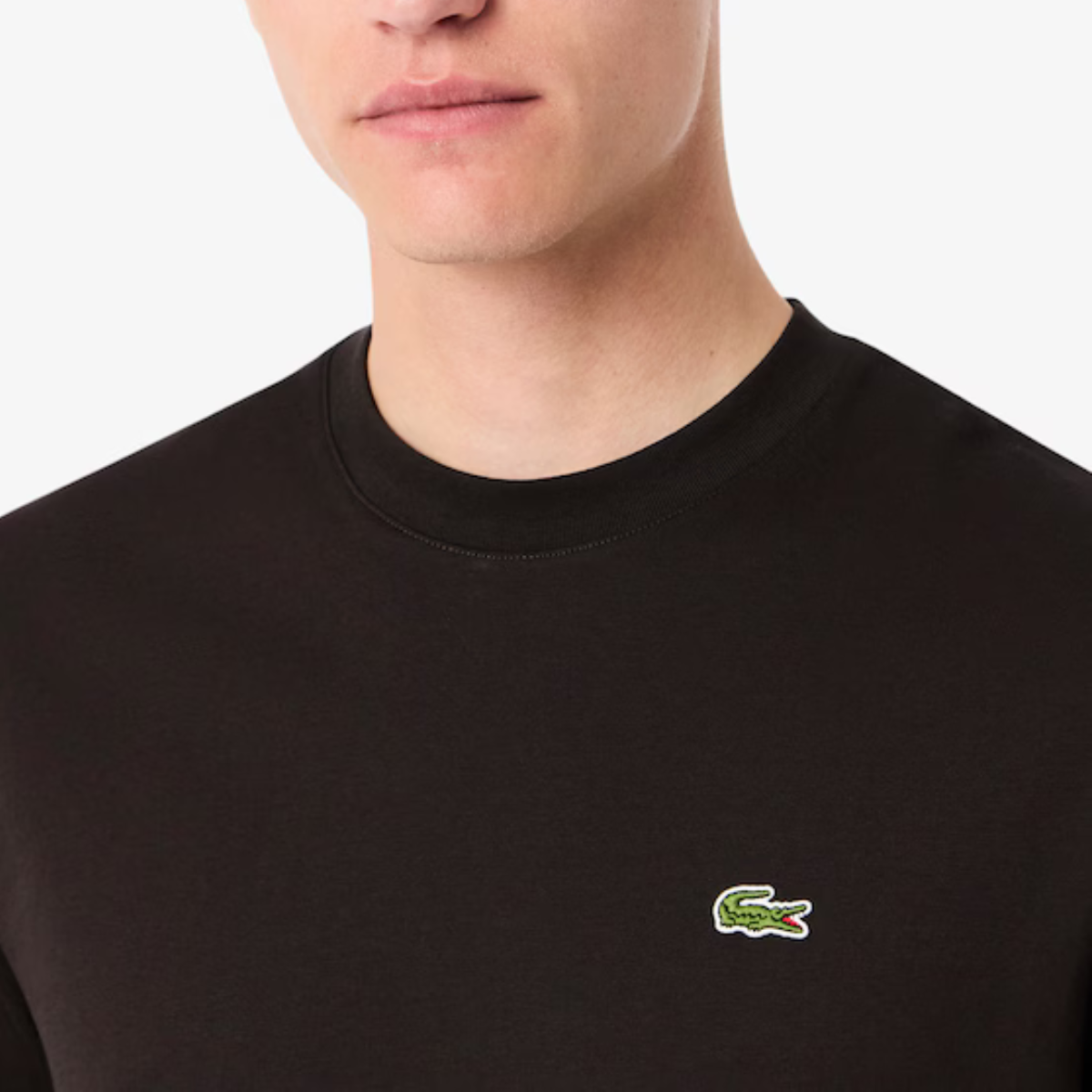 Men's Cotton T-Shirt