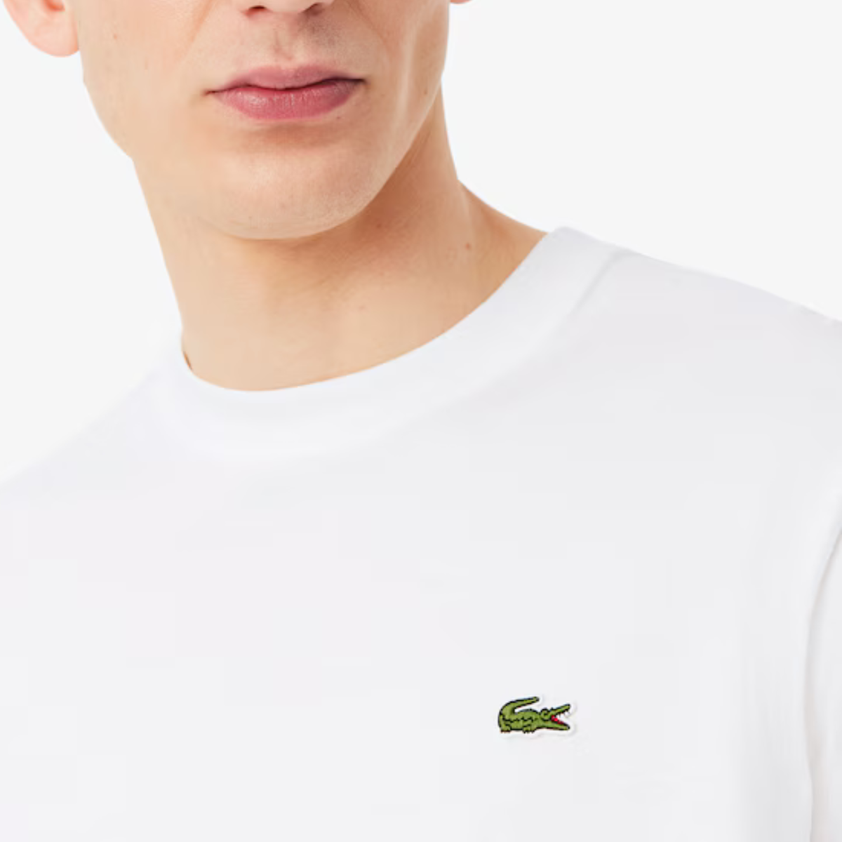 Men's Cotton T-Shirt