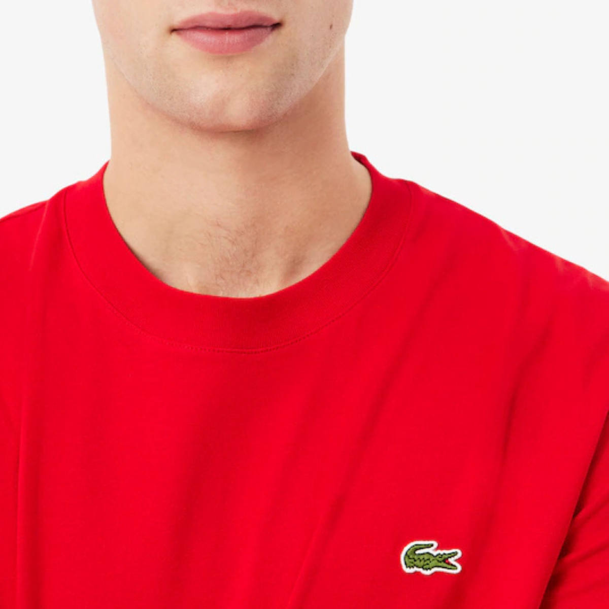 Men's Cotton T-Shirt