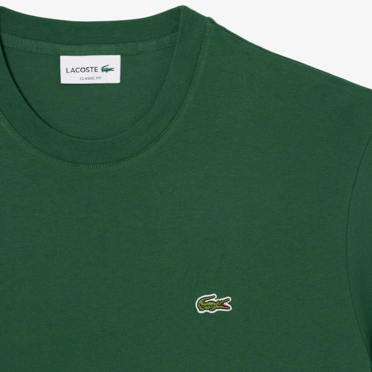 Men's Cotton T-Shirt