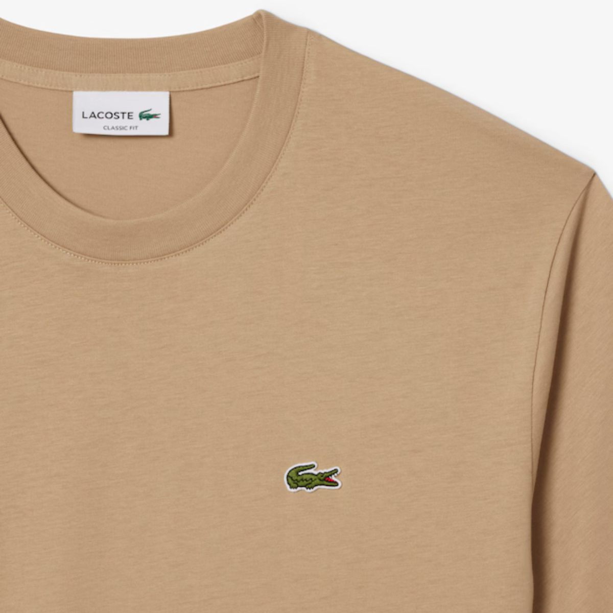 Men's Cotton T-Shirt