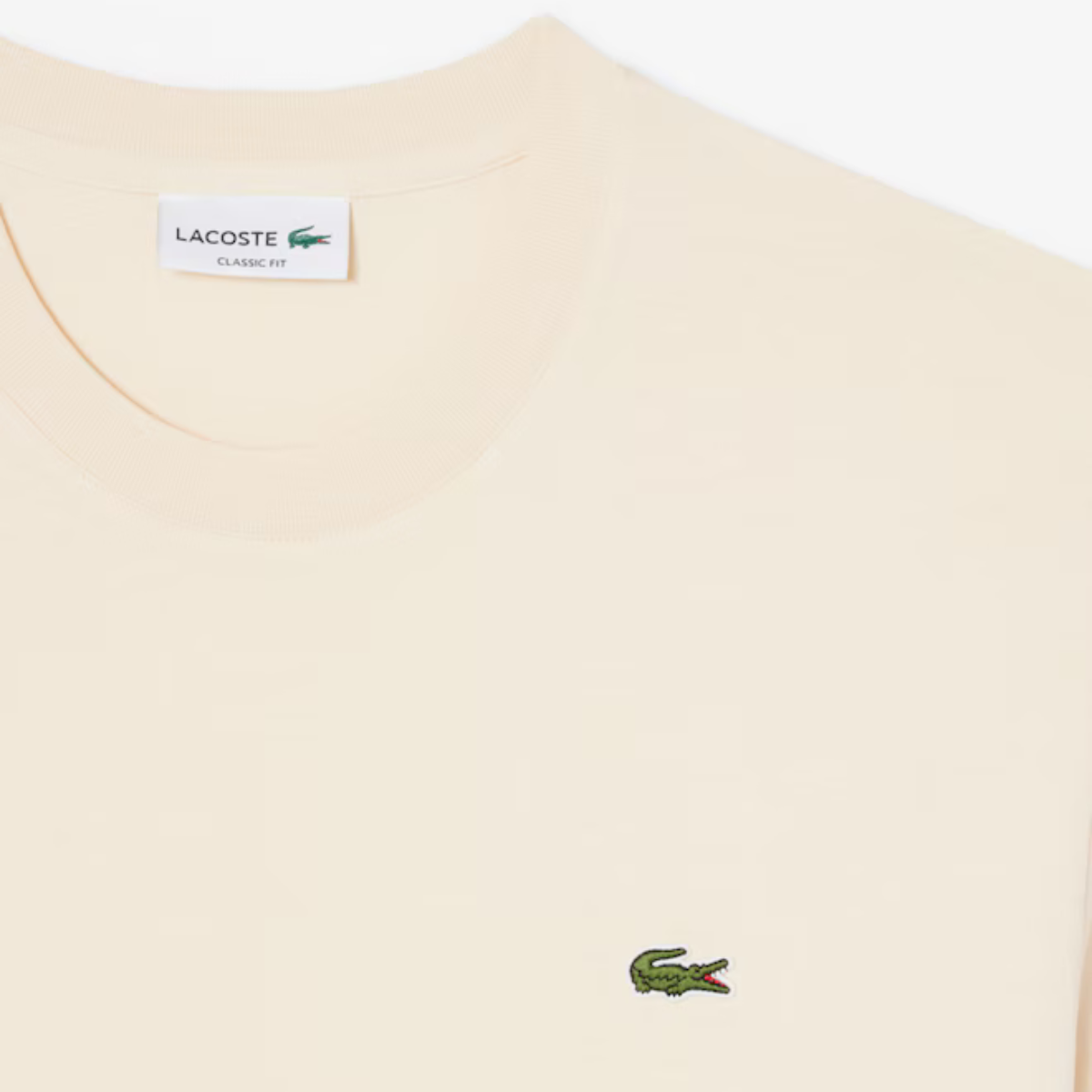 Men's Cotton T-Shirt