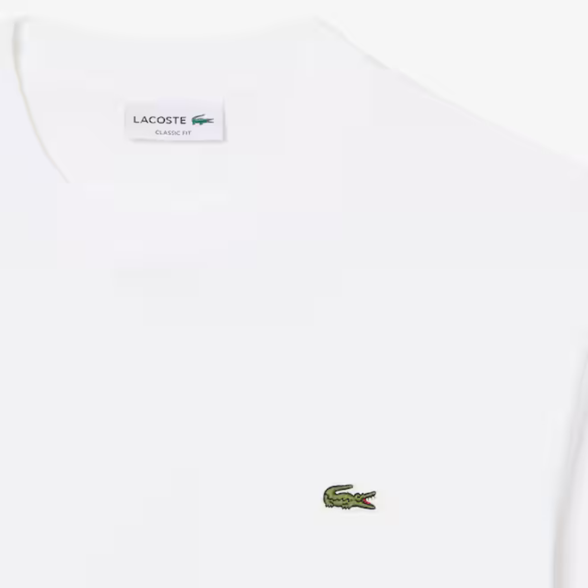 Men's Cotton T-Shirt
