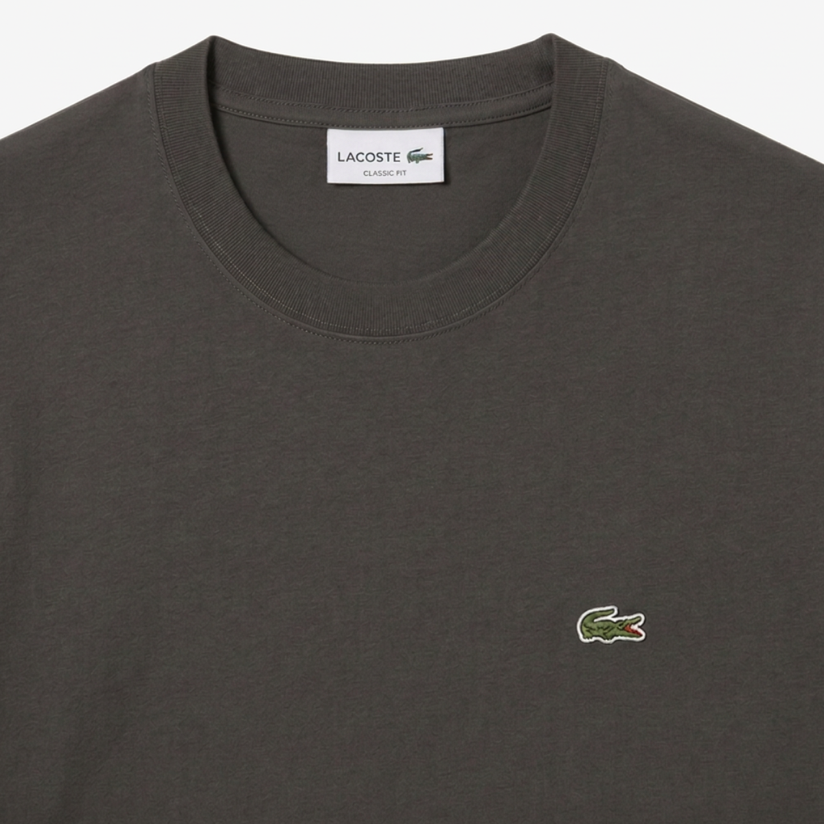 Men's Cotton T-Shirt