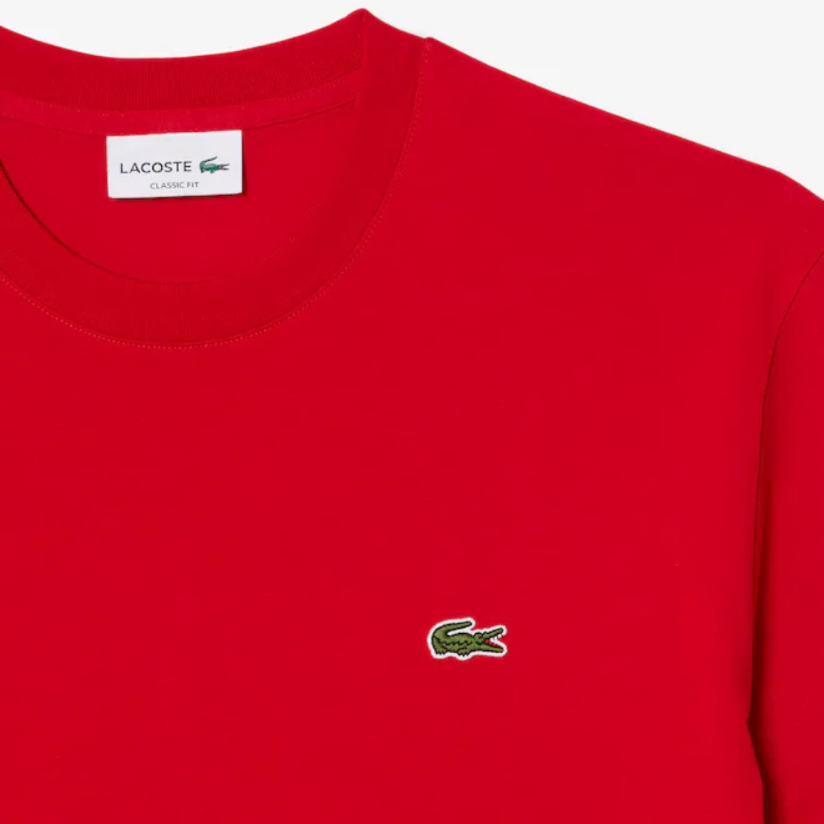 Men's Cotton T-Shirt