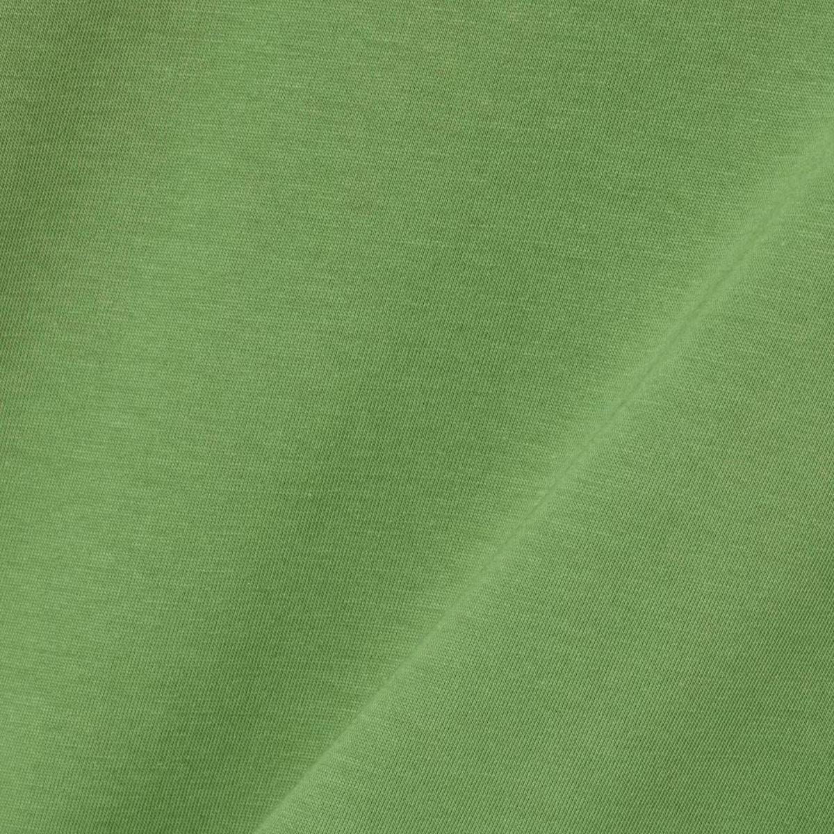 Pima Cotton T-Shirt